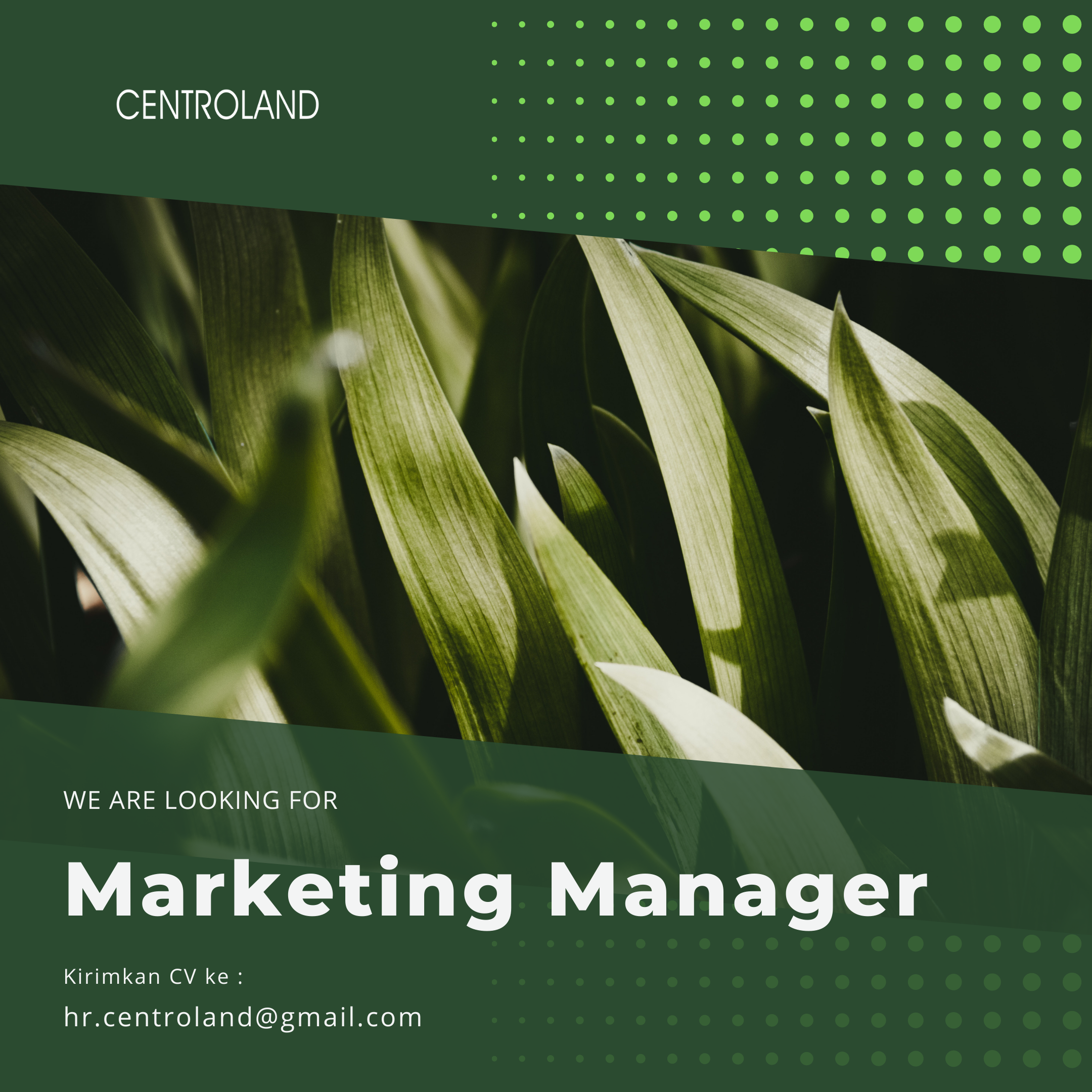 Marketing Manager | Centroland [Closed]